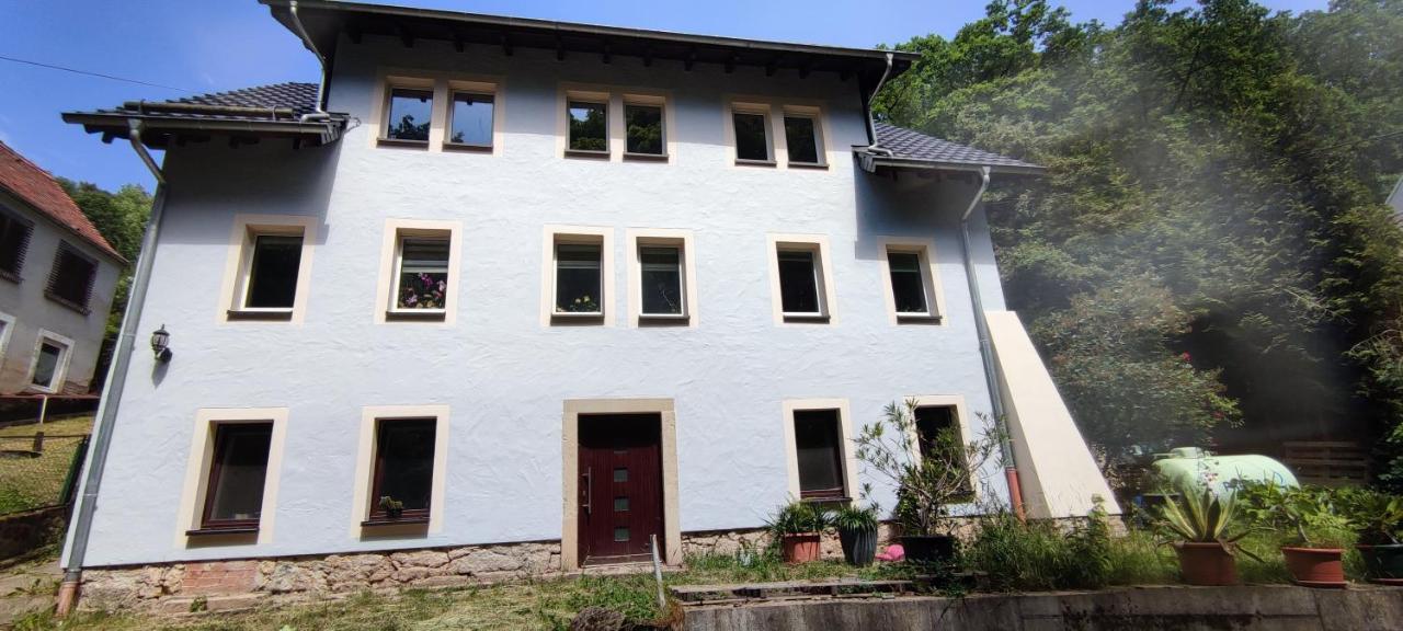 Mitten In Der Natur, Ganz Nah Bei Dresden. Bannewitz Eksteriør billede
